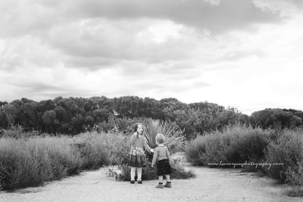 _DSC3745w